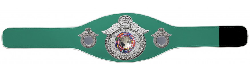 CHAMPIONSHIP BELT PROWING/S/FLAGS - AVAILABLE IN 6+ COLOURS